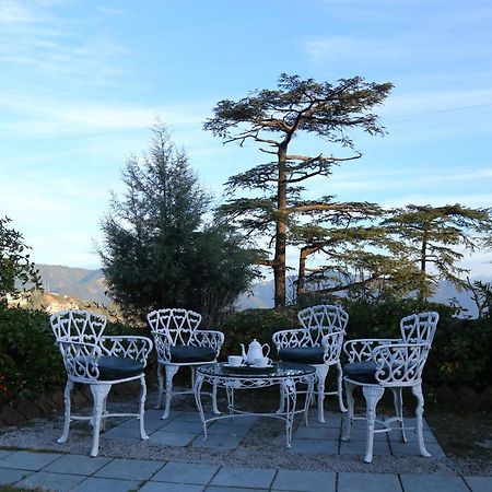 Springfields - A Heritage Palace Since 1902 Shimla Extérieur photo